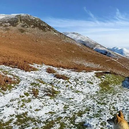 The Wayside And Whisky Barn Guest house 4*