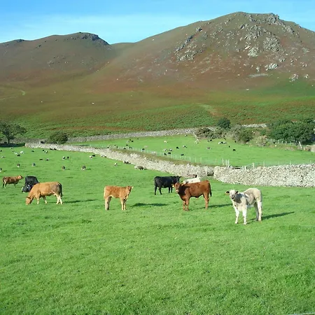 Affittacamere The Wayside And Whisky Barn 4*