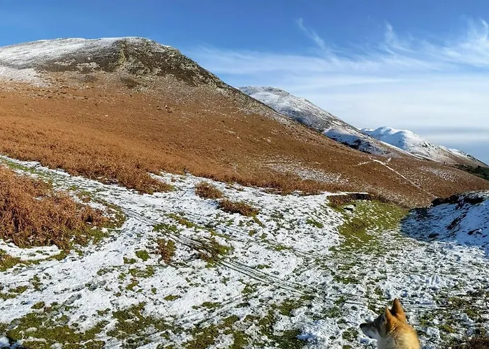 The Wayside And Whisky Barn Gasthuis 4*