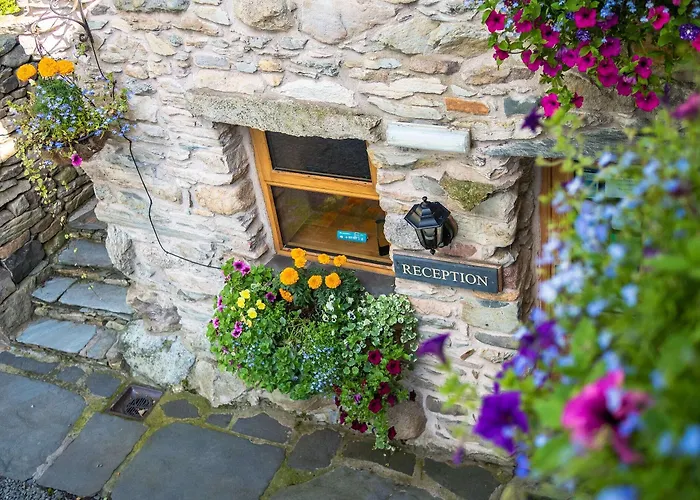 The Wayside And Whisky Barn Gæstehus 4*