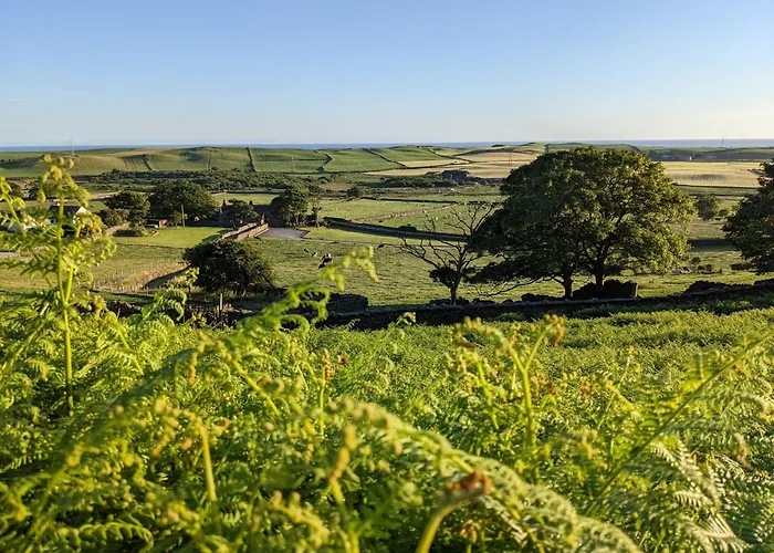 The Wayside And Whisky Barn